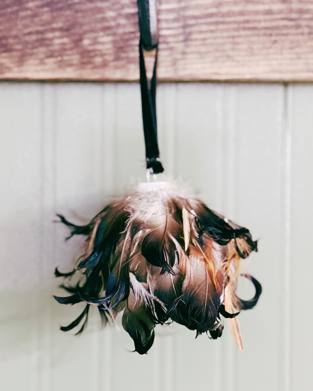 Drake Tail Feather Glass Ornament