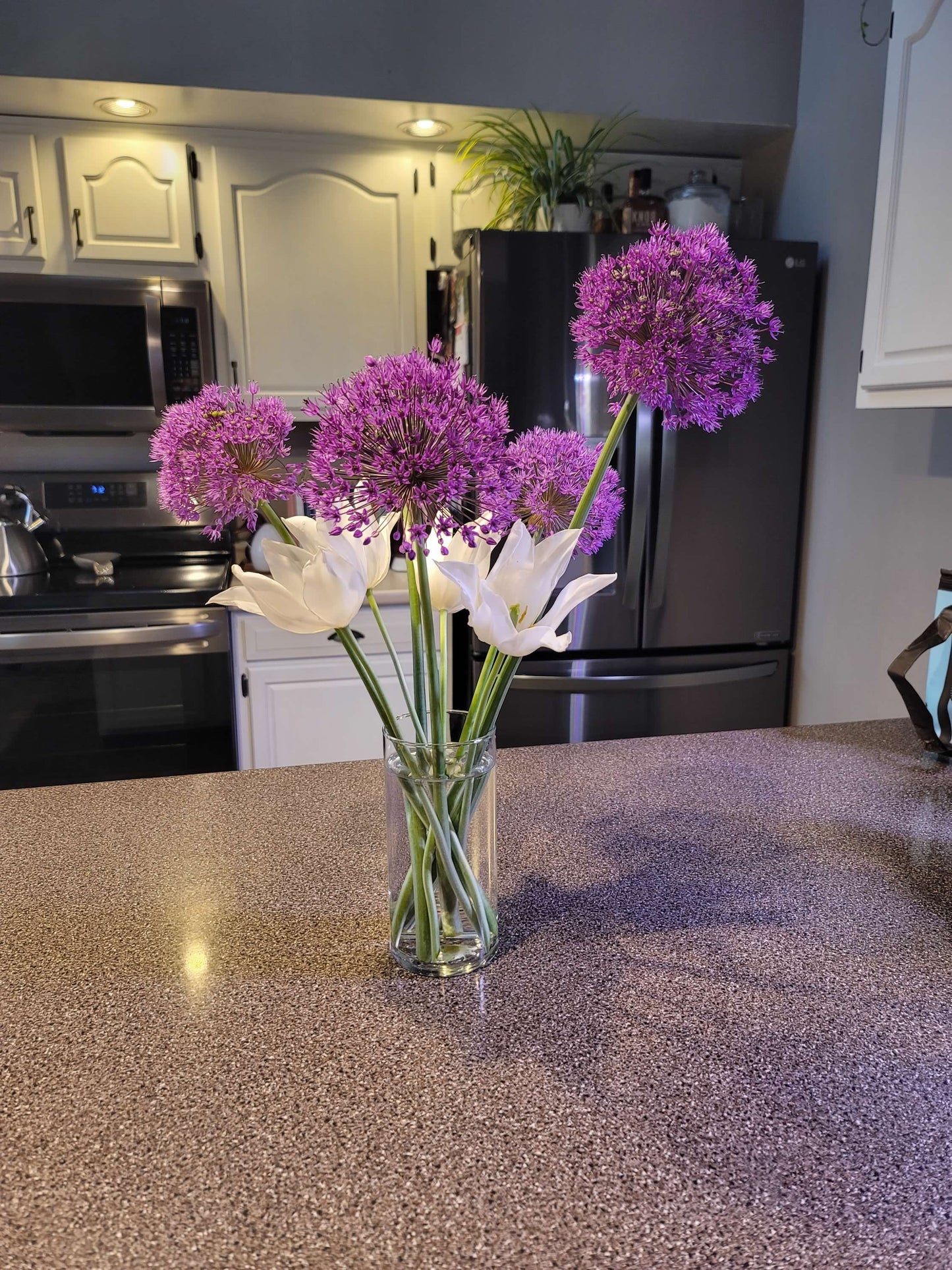 Allium