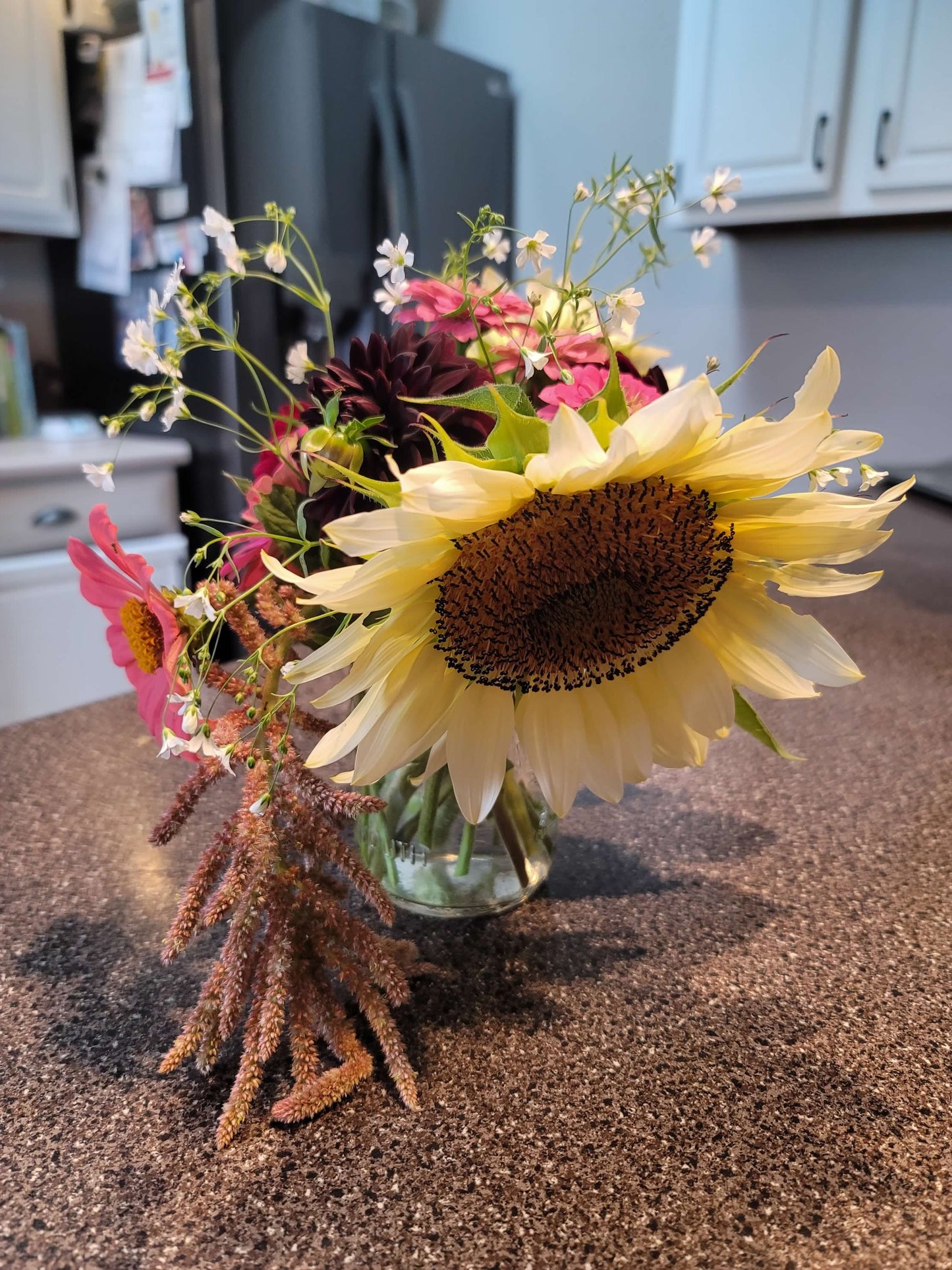 Hanging Amaranthus