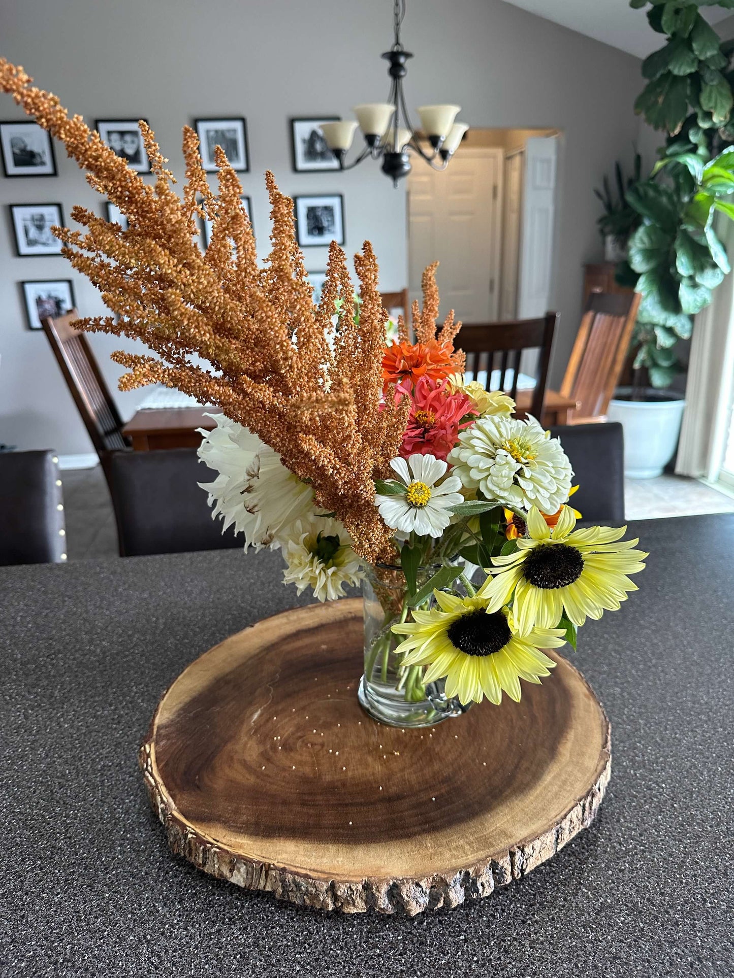 Upright Amaranthus